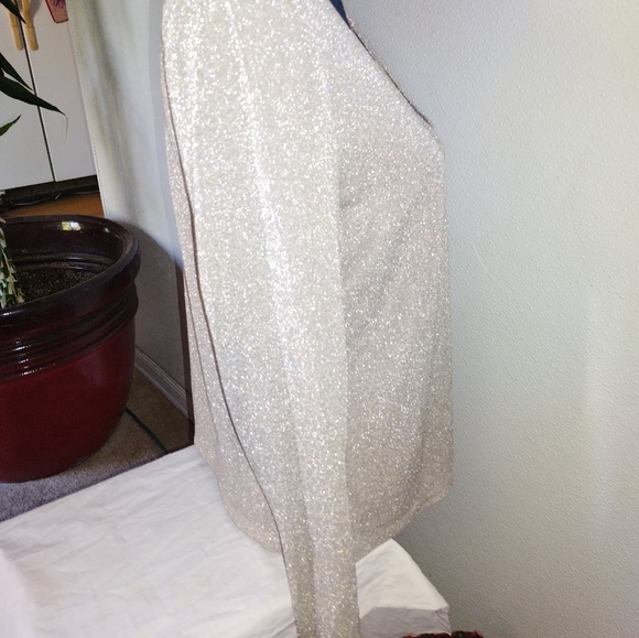 Holiday blouse shimmering silver - Picture 4 of 5